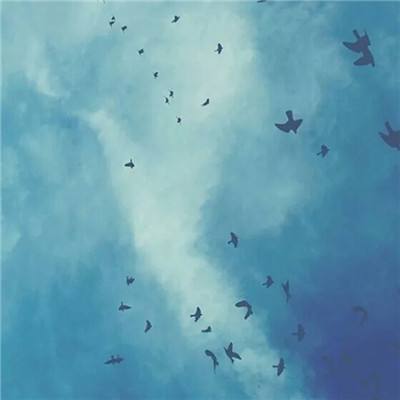 云开·全站中国官方网站