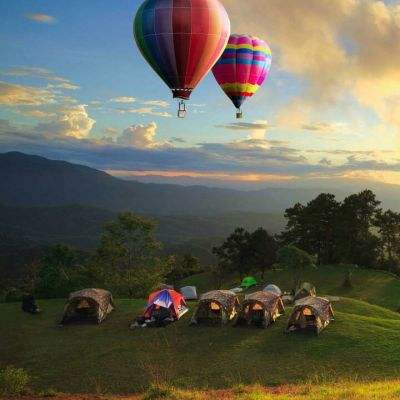 管家婆期期四肖四码中特管家app下载