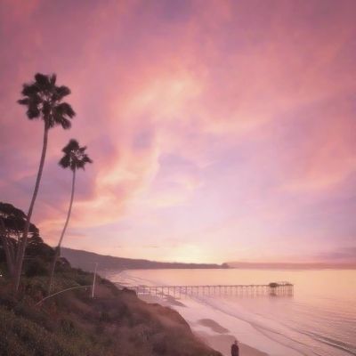 星空体育app下载下载手机版