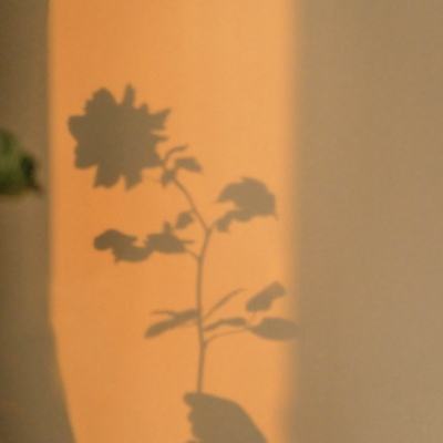 LOL外围官网手机app下载