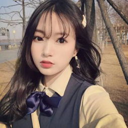 澳门天天免费资料大全下载手机app下载