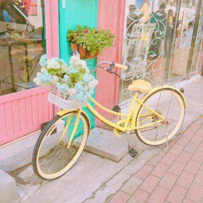 中欧体育app下载安装