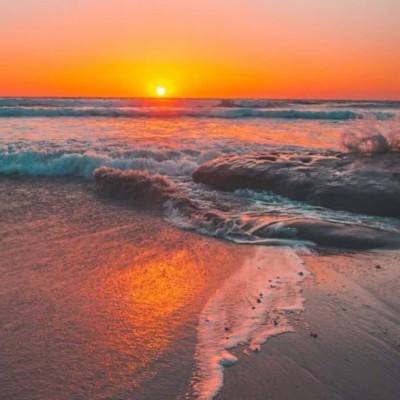 星空线上官网下载手机版