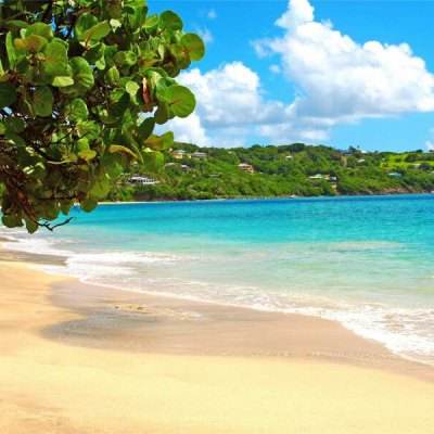 半岛·综合截图