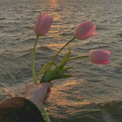 ManBetx万博全站APP最新版截图