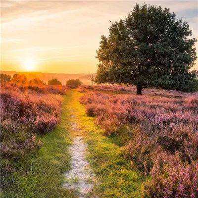 bsport体育在线登录下载手机版