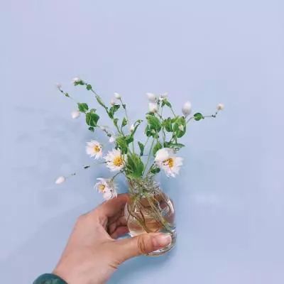 bat365app手机版下载