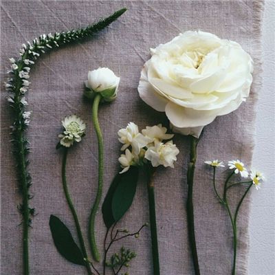 奇亿果体育官方,下载截图