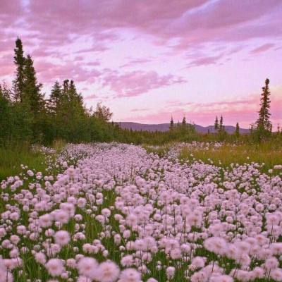 百人牛牛游戏下载手机版