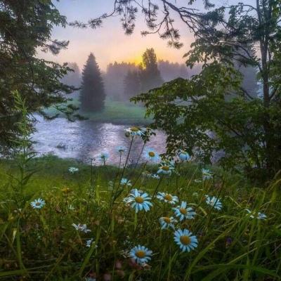 乐鱼体育app下载