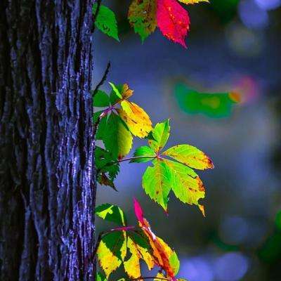 爱游体育APP官方入口