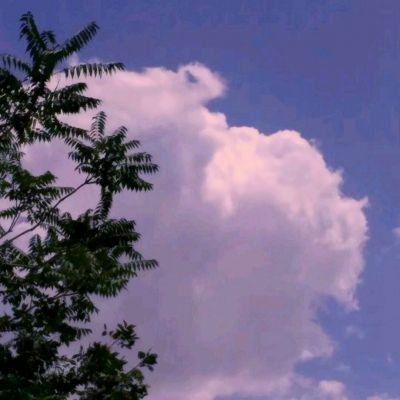 球王会体育app下载