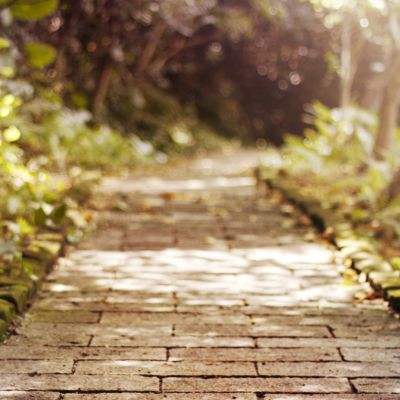 B体育官方网站下载